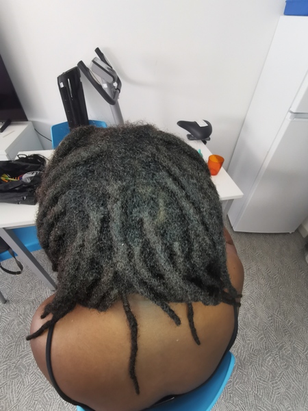 salon de coiffure afro tresse tresses box braids crochet braids vanilles tissages paris 75 77 78 91 92 93 94 95 EKSCZIHO