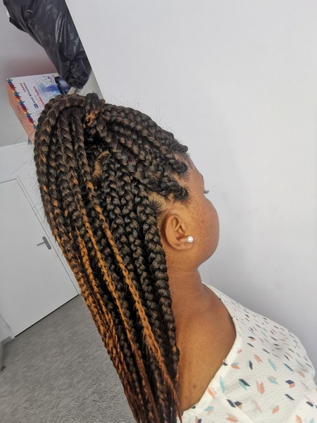 salon de coiffure afro tresse tresses box braids crochet braids vanilles tissages paris 75 77 78 91 92 93 94 95 PCWKSRUV