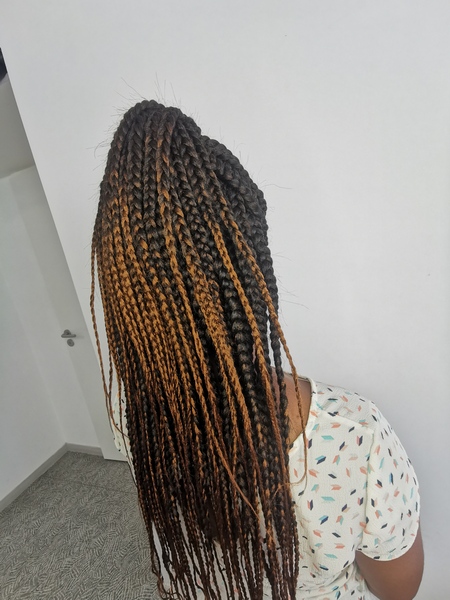salon de coiffure afro tresse tresses box braids crochet braids vanilles tissages paris 75 77 78 91 92 93 94 95 CTHQLYTR