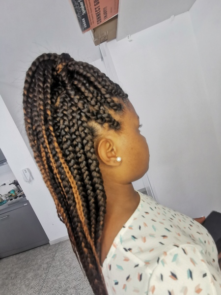 salon de coiffure afro tresse tresses box braids crochet braids vanilles tissages paris 75 77 78 91 92 93 94 95 CTBGTYLF