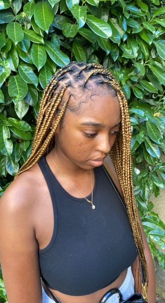 salon de coiffure afro tresse tresses box braids crochet braids vanilles tissages paris 75 77 78 91 92 93 94 95 VMIZBQLI