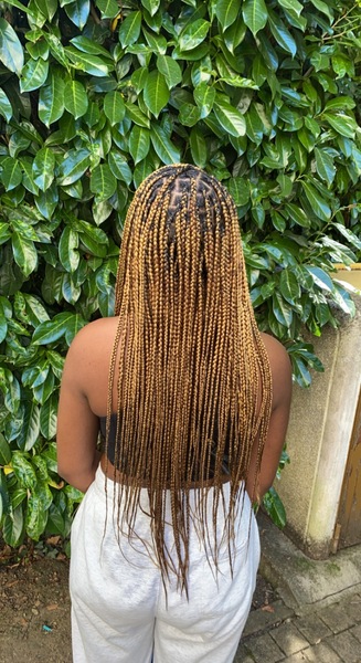 salon de coiffure afro tresse tresses box braids crochet braids vanilles tissages paris 75 77 78 91 92 93 94 95 SENBGWAD
