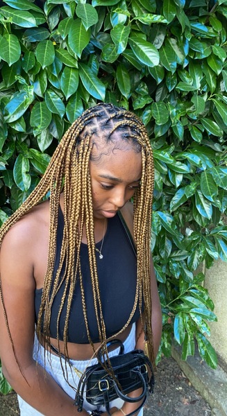 salon de coiffure afro tresse tresses box braids crochet braids vanilles tissages paris 75 77 78 91 92 93 94 95 NRERJOFJ