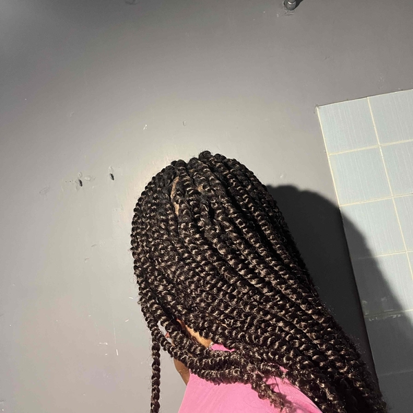 salon de coiffure afro tresse tresses box braids crochet braids vanilles tissages paris 75 77 78 91 92 93 94 95 LAHAIRED