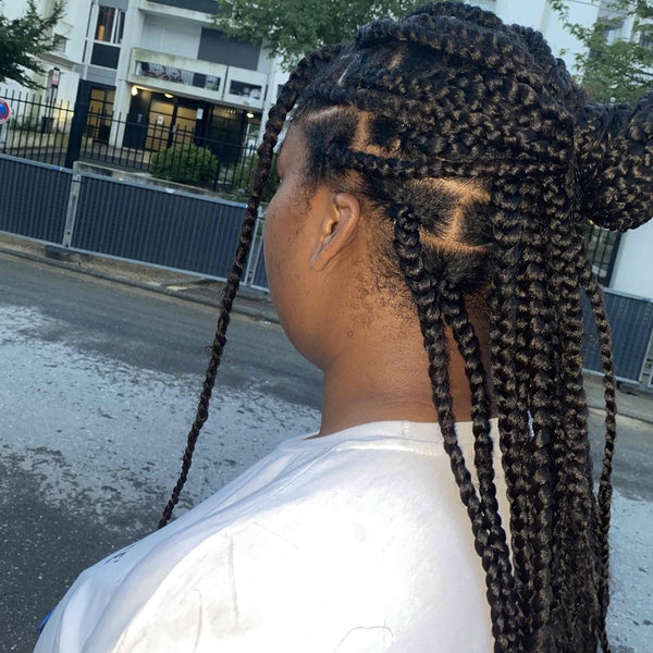 salon de coiffure afro tresse tresses box braids crochet braids vanilles tissages paris 75 77 78 91 92 93 94 95 ADNJSCSG
