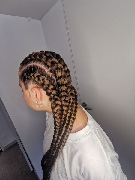 salon de coiffure afro tresse tresses box braids crochet braids vanilles tissages paris 75 77 78 91 92 93 94 95 DOJIZRUT