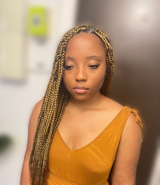 salon de coiffure afro tresse tresses box braids crochet braids vanilles tissages paris 75 77 78 91 92 93 94 95 ZQCPDZEL
