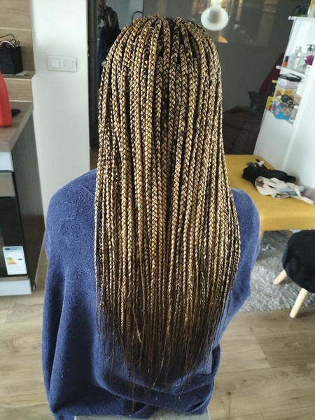 salon de coiffure afro tresse tresses box braids crochet braids vanilles tissages paris 75 77 78 91 92 93 94 95 ZJMATCOW