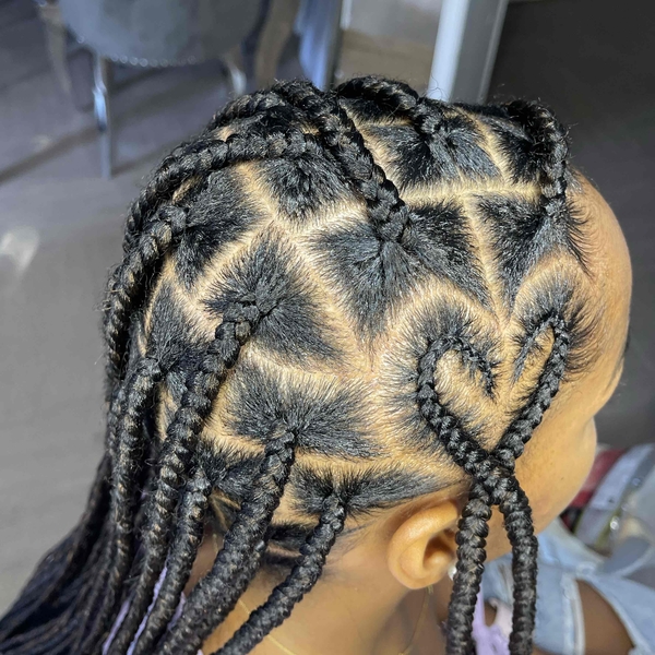 salon de coiffure afro tresse tresses box braids crochet braids vanilles tissages paris 75 77 78 91 92 93 94 95 XPTMYQLF