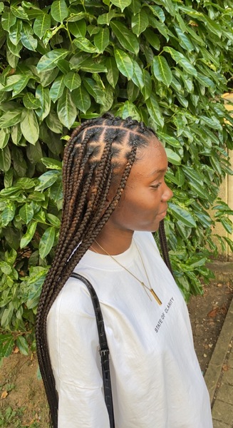 salon de coiffure afro tresse tresses box braids crochet braids vanilles tissages paris 75 77 78 91 92 93 94 95 MOEJMKKW