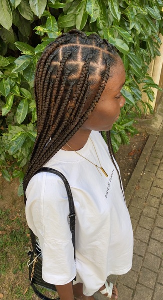 salon de coiffure afro tresse tresses box braids crochet braids vanilles tissages paris 75 77 78 91 92 93 94 95 ULEFDKRF