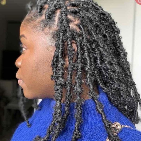 salon de coiffure afro tresse tresses box braids crochet braids vanilles tissages paris 75 77 78 91 92 93 94 95 LIZCUMGL