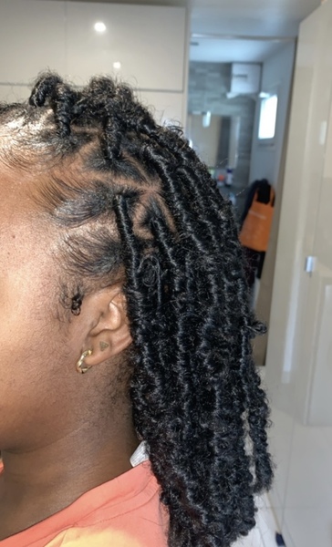 salon de coiffure afro tresse tresses box braids crochet braids vanilles tissages paris 75 77 78 91 92 93 94 95 VPAUBPWQ
