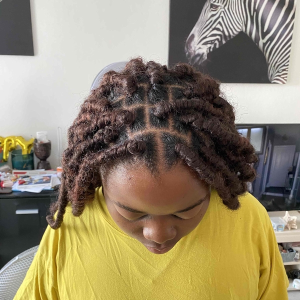salon de coiffure afro tresse tresses box braids crochet braids vanilles tissages paris 75 77 78 91 92 93 94 95 QSQLJDEH