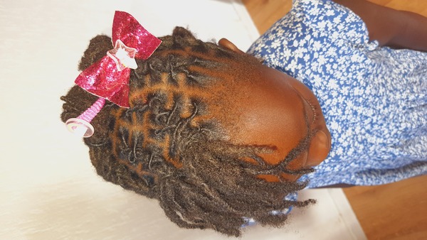 salon de coiffure afro tresse tresses box braids crochet braids vanilles tissages paris 75 77 78 91 92 93 94 95 PJTTWBSR