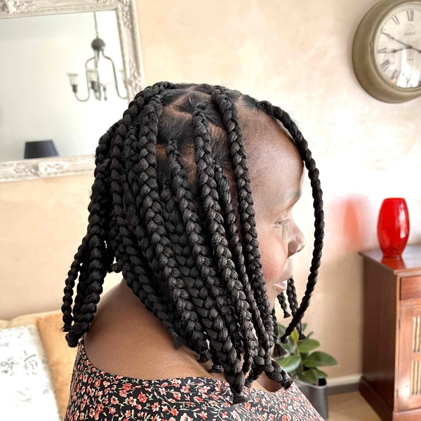 salon de coiffure afro tresse tresses box braids crochet braids vanilles tissages paris 75 77 78 91 92 93 94 95 DKBCALZT