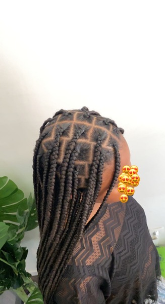 salon de coiffure afro tresse tresses box braids crochet braids vanilles tissages paris 75 77 78 91 92 93 94 95 PVJPZQJK