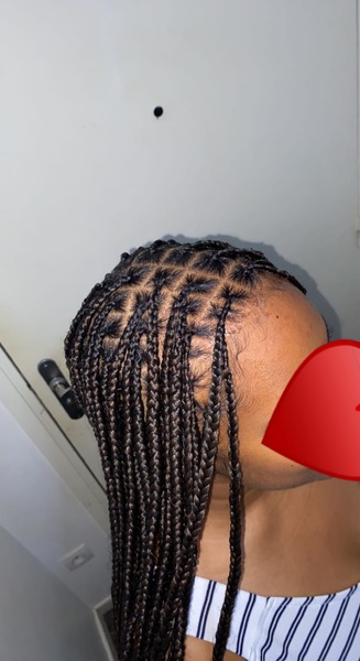salon de coiffure afro tresse tresses box braids crochet braids vanilles tissages paris 75 77 78 91 92 93 94 95 BHJCIOVQ