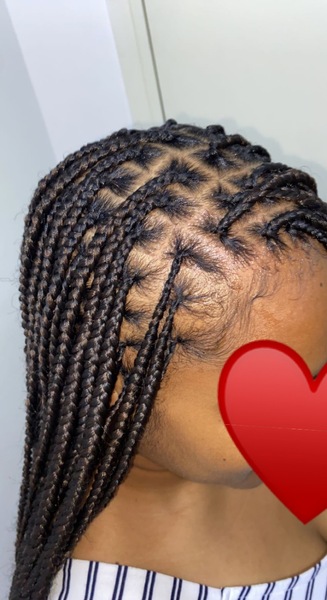 salon de coiffure afro tresse tresses box braids crochet braids vanilles tissages paris 75 77 78 91 92 93 94 95 XWGIEMDH