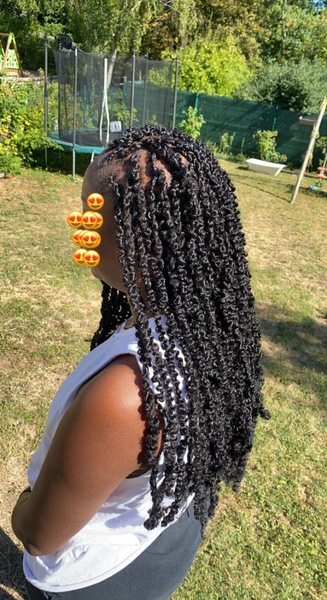 salon de coiffure afro tresse tresses box braids crochet braids vanilles tissages paris 75 77 78 91 92 93 94 95 IUQABXGI
