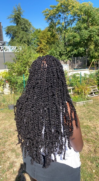 salon de coiffure afro tresse tresses box braids crochet braids vanilles tissages paris 75 77 78 91 92 93 94 95 RJVNWLQD