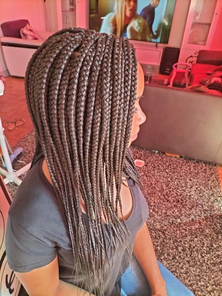 salon de coiffure afro tresse tresses box braids crochet braids vanilles tissages paris 75 77 78 91 92 93 94 95 EUNVQEHG