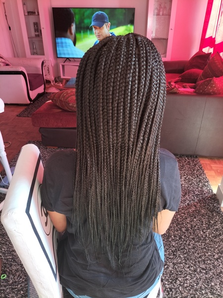 salon de coiffure afro tresse tresses box braids crochet braids vanilles tissages paris 75 77 78 91 92 93 94 95 CUAUTCSG