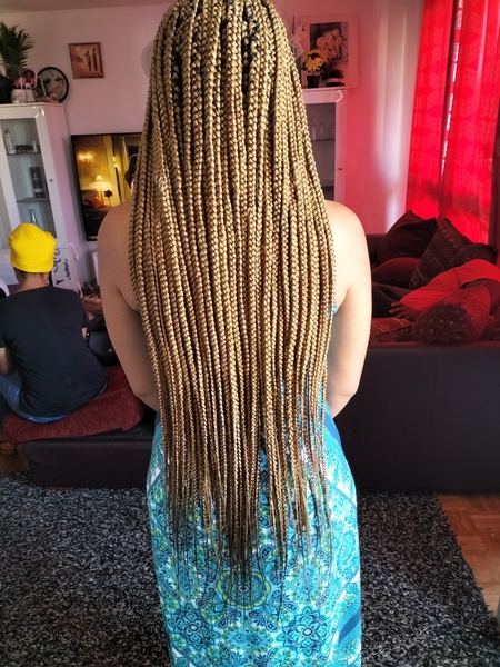 salon de coiffure afro tresse tresses box braids crochet braids vanilles tissages paris 75 77 78 91 92 93 94 95 POCGKPDR