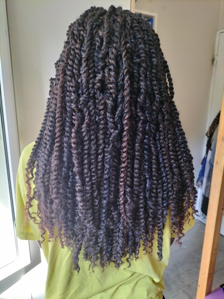 salon de coiffure afro tresse tresses box braids crochet braids vanilles tissages paris 75 77 78 91 92 93 94 95 ISRLPVYM