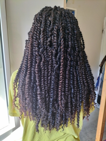 salon de coiffure afro tresse tresses box braids crochet braids vanilles tissages paris 75 77 78 91 92 93 94 95 LFXRLYHC