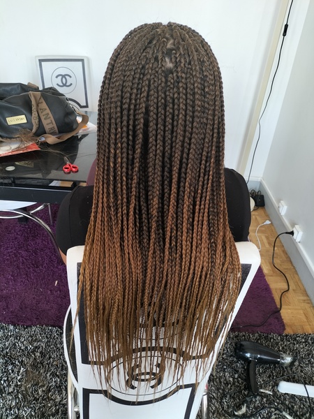 salon de coiffure afro tresse tresses box braids crochet braids vanilles tissages paris 75 77 78 91 92 93 94 95 ERYJFHRS
