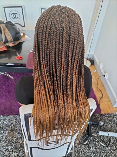 salon de coiffure afro tresse tresses box braids crochet braids vanilles tissages paris 75 77 78 91 92 93 94 95 ZLPWKJYQ