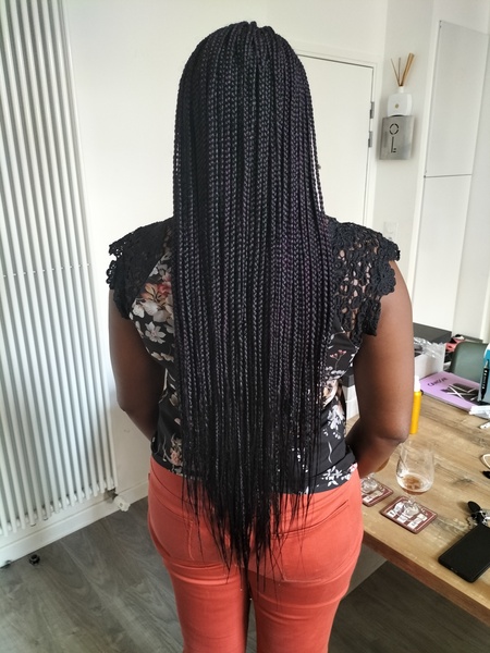 salon de coiffure afro tresse tresses box braids crochet braids vanilles tissages paris 75 77 78 91 92 93 94 95 XCFVNYMJ