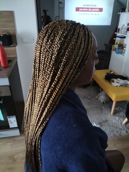 salon de coiffure afro tresse tresses box braids crochet braids vanilles tissages paris 75 77 78 91 92 93 94 95 XRKAOEWB