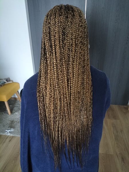 salon de coiffure afro tresse tresses box braids crochet braids vanilles tissages paris 75 77 78 91 92 93 94 95 UDJXXOTB