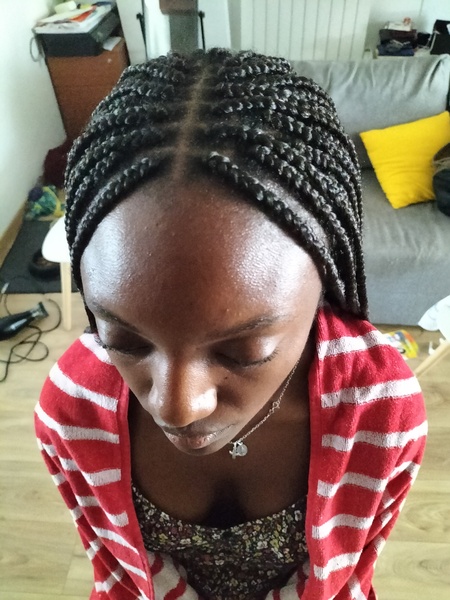 salon de coiffure afro tresse tresses box braids crochet braids vanilles tissages paris 75 77 78 91 92 93 94 95 GMOZSSML