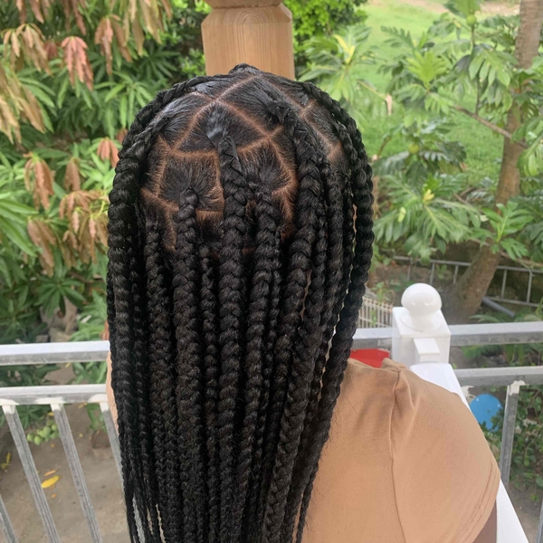 salon de coiffure afro tresse tresses box braids crochet braids vanilles tissages paris 75 77 78 91 92 93 94 95 AYANHYXB