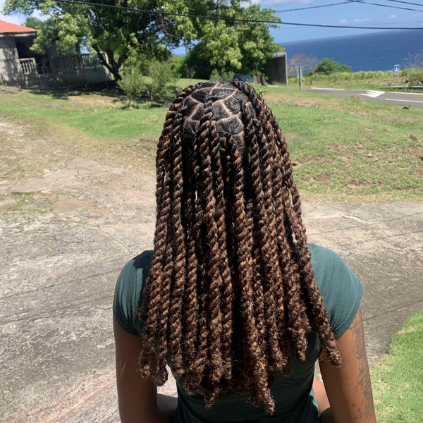 salon de coiffure afro tresse tresses box braids crochet braids vanilles tissages paris 75 77 78 91 92 93 94 95 PUZQPXRI