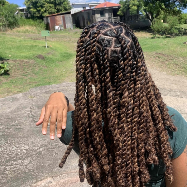 salon de coiffure afro tresse tresses box braids crochet braids vanilles tissages paris 75 77 78 91 92 93 94 95 FSYXKLBB