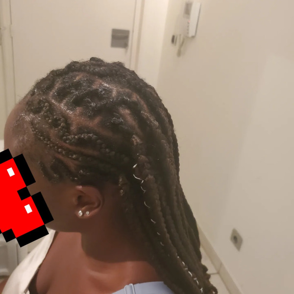 salon de coiffure afro tresse tresses box braids crochet braids vanilles tissages paris 75 77 78 91 92 93 94 95 NCFWRKXI
