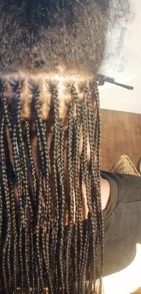 salon de coiffure afro tresse tresses box braids crochet braids vanilles tissages paris 75 77 78 91 92 93 94 95 OAFSHVSQ