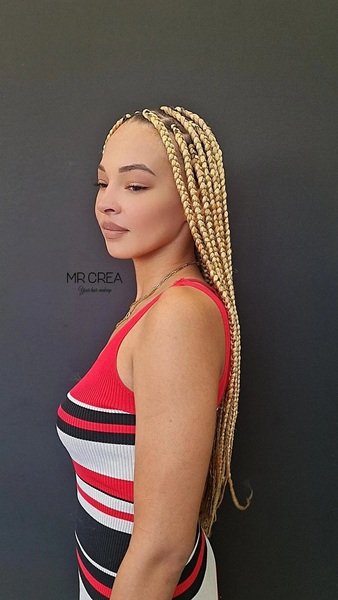 salon de coiffure afro tresse tresses box braids crochet braids vanilles tissages paris 75 77 78 91 92 93 94 95 XZECTDVO