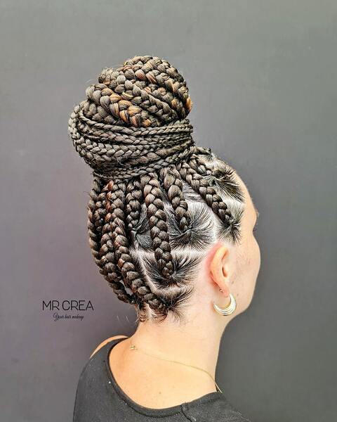salon de coiffure afro tresse tresses box braids crochet braids vanilles tissages paris 75 77 78 91 92 93 94 95 RGGIPCMT
