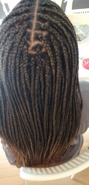 salon de coiffure afro tresse tresses box braids crochet braids vanilles tissages paris 75 77 78 91 92 93 94 95 NCWYXPBP
