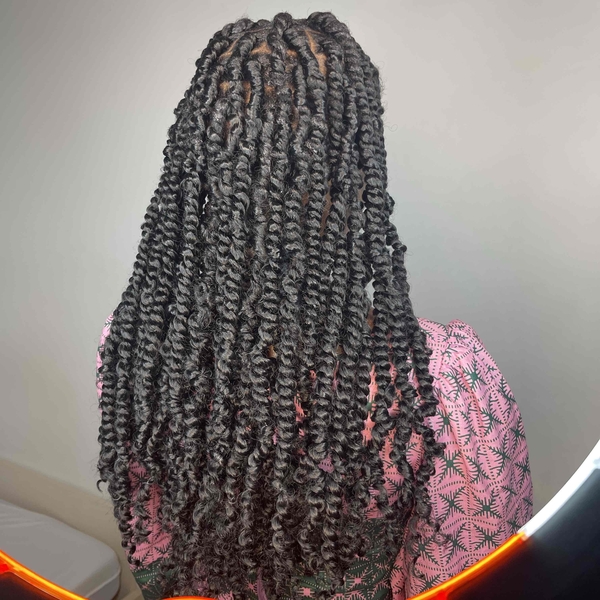 salon de coiffure afro tresse tresses box braids crochet braids vanilles tissages paris 75 77 78 91 92 93 94 95 EZDODBXM