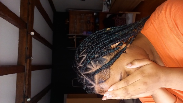 salon de coiffure afro tresse tresses box braids crochet braids vanilles tissages paris 75 77 78 91 92 93 94 95 SEDBIDQL