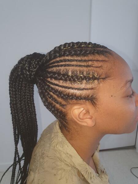 salon de coiffure afro tresse tresses box braids crochet braids vanilles tissages paris 75 77 78 91 92 93 94 95 CEJCKWFR