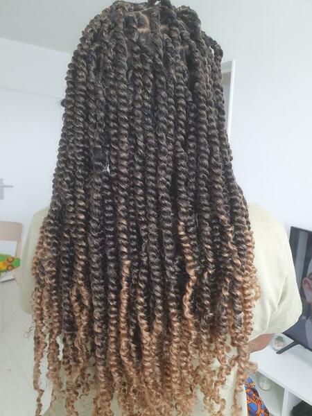 salon de coiffure afro tresse tresses box braids crochet braids vanilles tissages paris 75 77 78 91 92 93 94 95 HYAORCUL