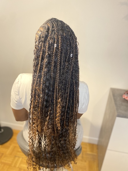 salon de coiffure afro tresse tresses box braids crochet braids vanilles tissages paris 75 77 78 91 92 93 94 95 RGFLBHGW