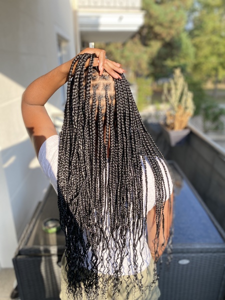 salon de coiffure afro tresse tresses box braids crochet braids vanilles tissages paris 75 77 78 91 92 93 94 95 GJTMGMFV